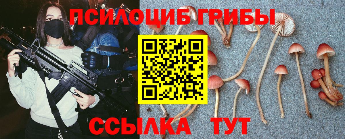 Псилоцибиновые грибы Magic Shrooms  Вход с VPN  Пугачёв 